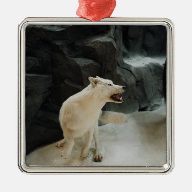Ornamento De Metal Lobo Branco (Frente)