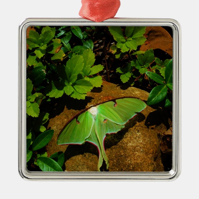 Ornamento De Metal Luna verde-gigante (Frente)