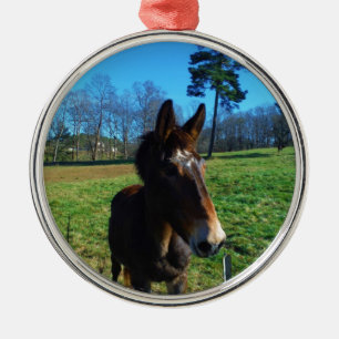 Ornamento De Metal Maçã-branca