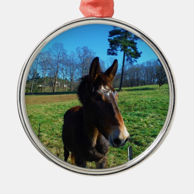 Ornamento De Metal Maçã-branca (Frente)