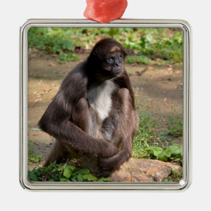 Ornamento De Metal Macaco-aranha variado sentado no chão