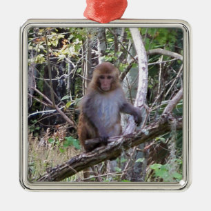 Ornamento De Metal macaco de macaque do rhesus 001a