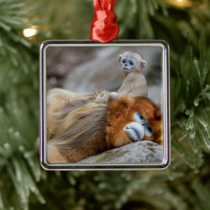 Ornamento De Metal Macaco Dourado de Nariz Arrebitado Pai com Bebê