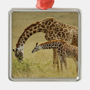 Ornamento De Metal Mãe e bebê Girafa Masai, Giraffa
