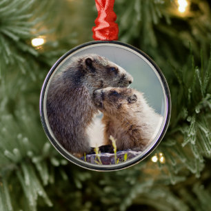 Ornamento De Metal Mãe Marmota com Bebê
