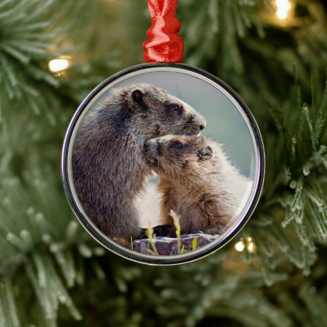 Ornamento De Metal Mãe Marmota com Bebê (Árvore)