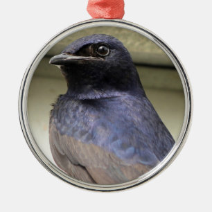 Ornamento De Metal Majestoso Purple Martin