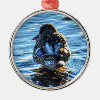 Ornamento De Metal Mallard Duck no Rio do inverno - Foto da vida selv