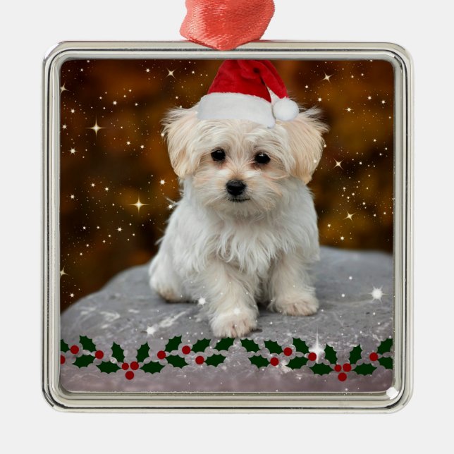 Ornamento De Metal Maltês Puppy Natal (Frente)