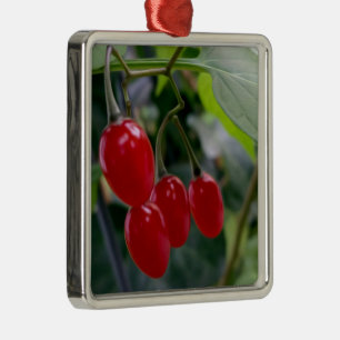 Ornamento De Metal Manchas vermelhas do outono