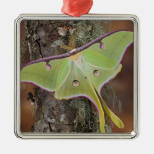Ornamento De Metal Mariposa-da-lua