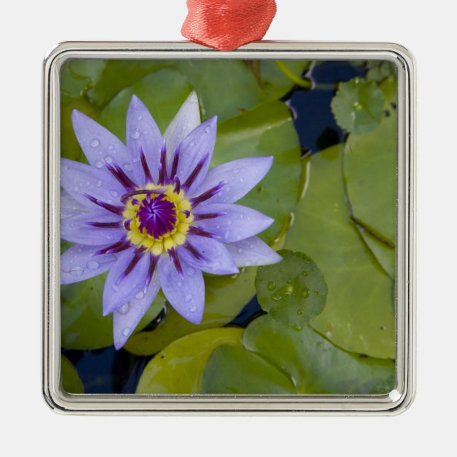 Ornamento De Metal Martinica, Antilhas Francesas, Índias Ocidentais,  (Frente)