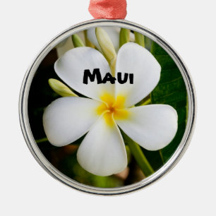 Ornamento De Metal Maui Espetacular