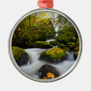 Ornamento De Metal McCord Creek Bordo Grande Desfiladeiro do Columb