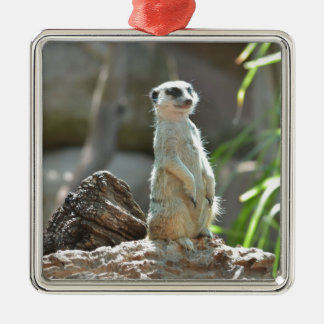 Ornamento De Metal Meerkat