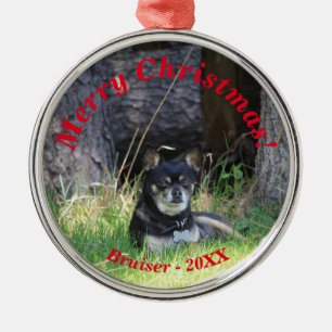 Ornamento De Metal Melhor amigo de estimação para sempre manter pre