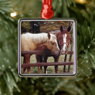 Ornamento De Metal Melhores Amigos