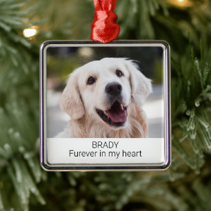Ornamento De Metal Memorial de Pet de Fotografias Personalizado com o
