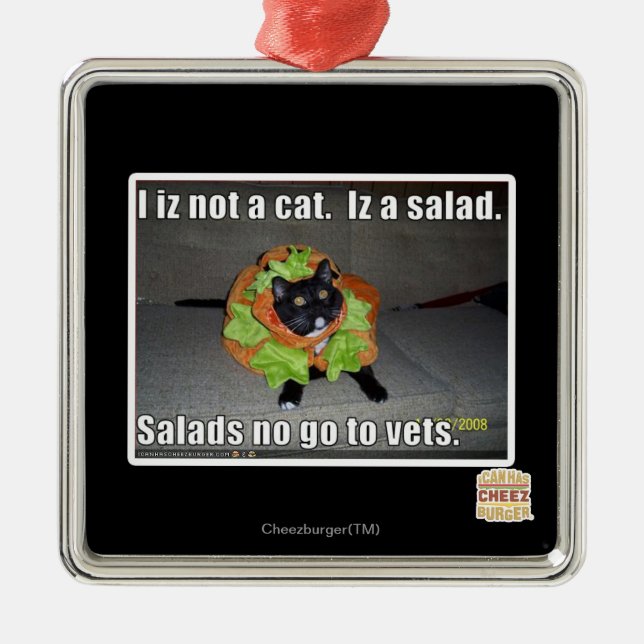 Ornamento De Metal Mim iz não um gato. Iz um salad. (Frente)
