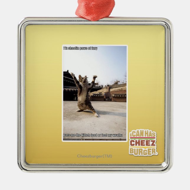 Ornamento De Metal Mim patas do shaolin do iz da fúria (Frente)