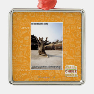 Ornamento De Metal Mim patas do shaolin do iz da fúria