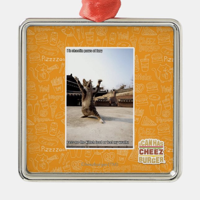 Ornamento De Metal Mim patas do shaolin do iz da fúria (Frente)