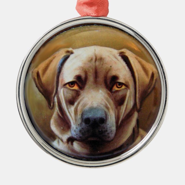Ornamento De Metal MINIATURE DOG PORTRAITS, chocolate Labrador (Frente)