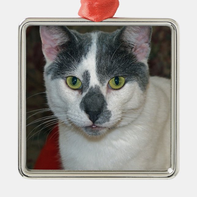 Ornamento De Metal Mister Pants (Frente)