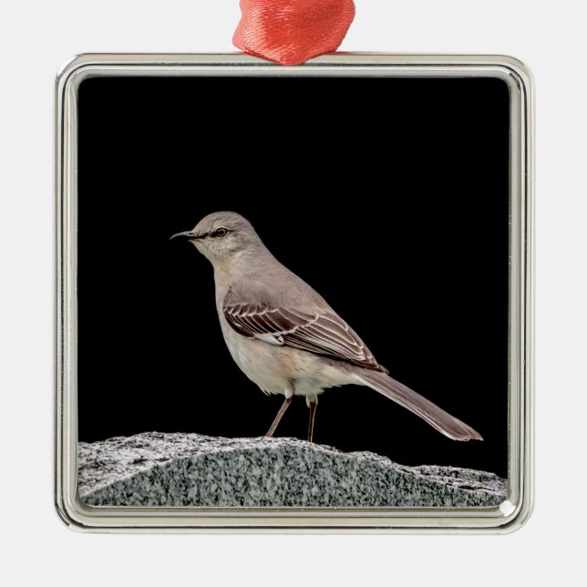 Ornamento De Metal Mockingbird numa tombstone (Frente)