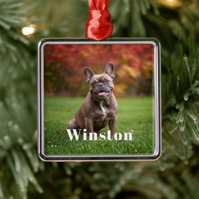 Ornamento De Metal Modern Custom Pet Name Photo Holiday (Árvore)