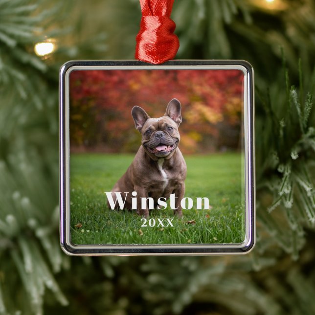 Ornamento De Metal Modern Custom Pet Name Year Photo Holiday (Árvore)