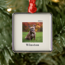 Ornamento De Metal Modern Ivory Custom Pet Name Photo
