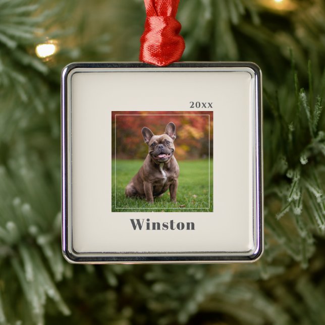 Ornamento De Metal Modern Ivory Custom Pet Name Photo (Árvore)
