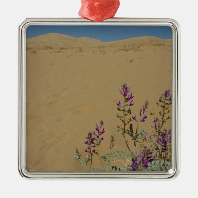 Ornamento De Metal Mojave Indigo Bush e Kelso Dunes (Frente)