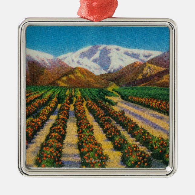 Ornamento De Metal Montanha velha de Baldy dos bosques alaranjados (Frente)