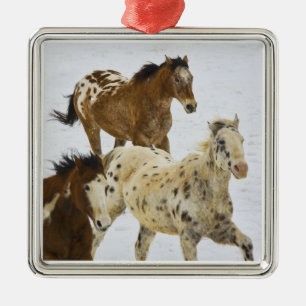 Ornamento De Metal Montanhas do Big Horn, cavalos que funcionam na
