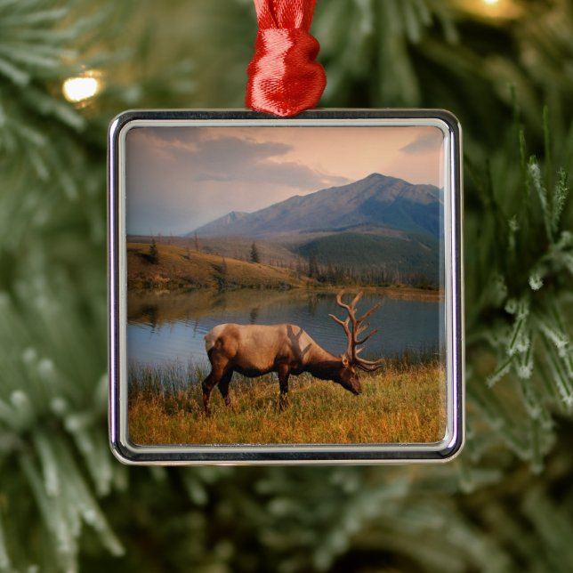 Ornamento De Metal Montanhas | Jacques Mountain Range Alberta Canadá (Árvore)