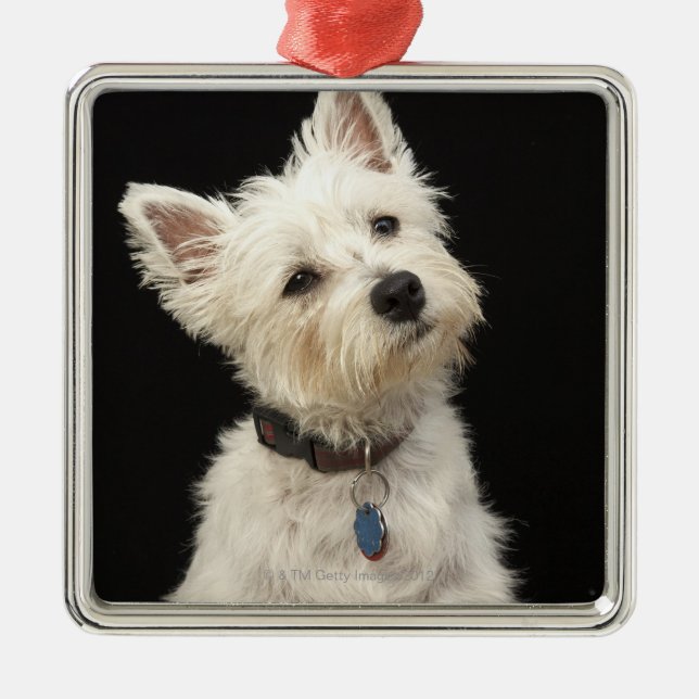Ornamento De Metal Montanhas ocidentais Terrier de Westie | (Frente)
