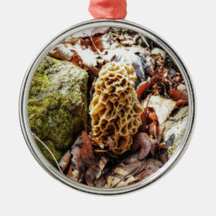 Ornamento De Metal Morel Mushroom na Natureza