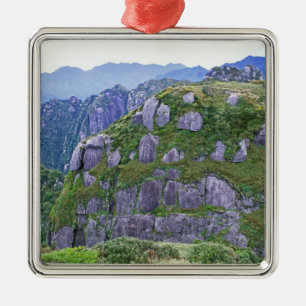 Ornamento De Metal Mt. Nagata, Yakushima, Kagoshima, Japão