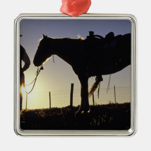 Ornamento De Metal N.A., EUA, Oregon, Seneca, Ponderosa Ranch,
