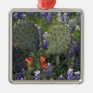 Ornamento De Metal N.A., EUA, Texas, Cacto cercado por