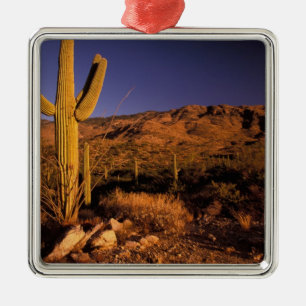 Ornamento De Metal NA, EUA, Arizona, Monumento Nacional Saguaro,