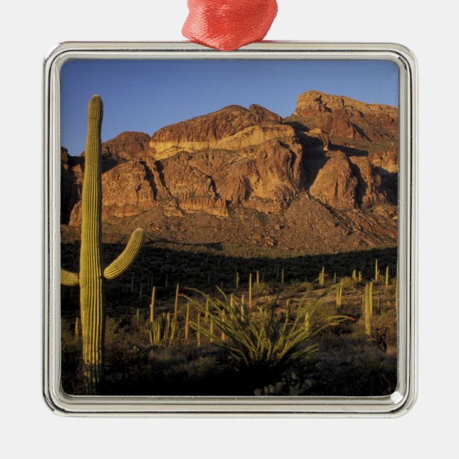 Ornamento De Metal NA, EUA, Arizona. Orgão Pipe Cactus National 2 (Frente)