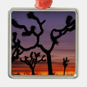 Ornamento De Metal NA, EUA, Califórnia. Nacional Joshua Tree