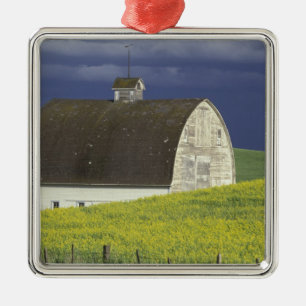 Ornamento De Metal NA, EUA, Idaho, ao sul de Genesse, campo de canola
