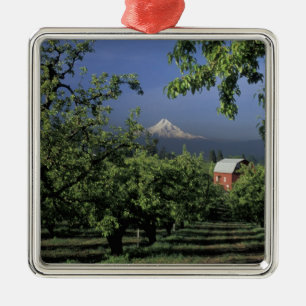 Ornamento De Metal NA, EUA, Oregon, perto de Hood River Mt. Hood com
