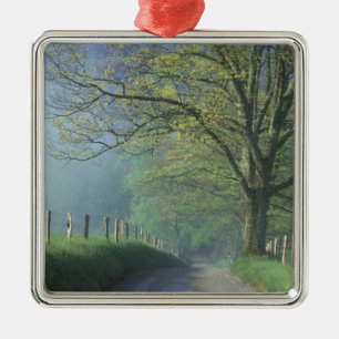 Ornamento De Metal NA, EUA, Tennessee, Cades Cove, Enfumaçado Excele