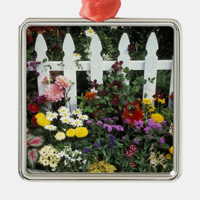 Ornamento De Metal NA, EUA, Washington, Sammamish, Picket branco (Frente)