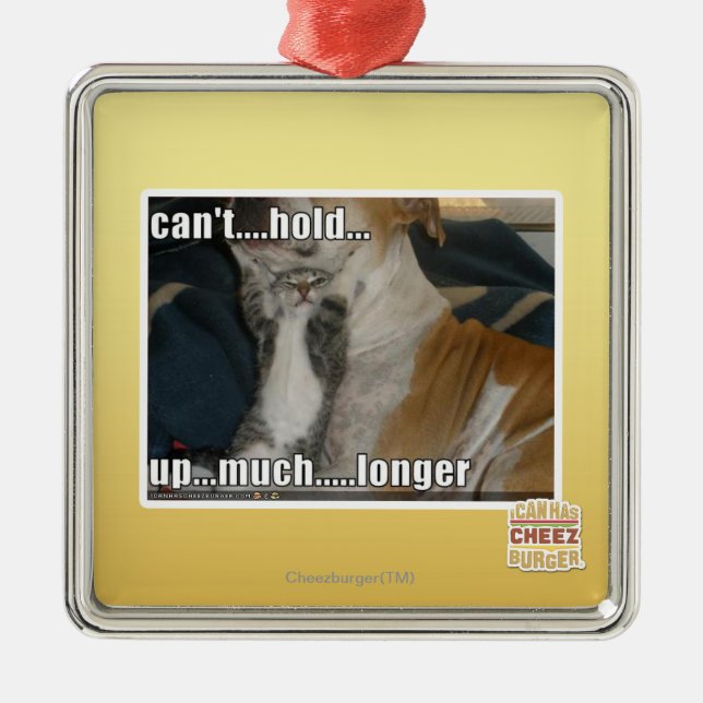 Ornamento De Metal Não pode sustentar muito mais por muito tempo (Frente)